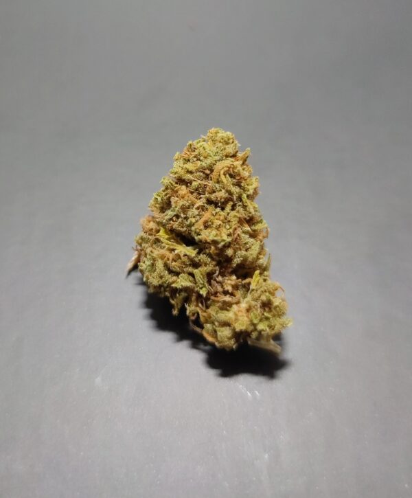 Skunk Dream