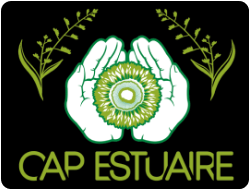 Cap Estuaire