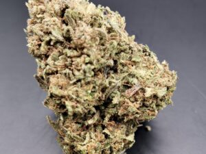 SKUNK JAM