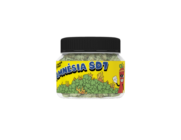 Amnésia SD7
