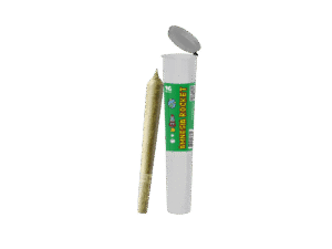 Royal Rocket