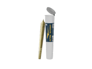 Amnésia Rocket