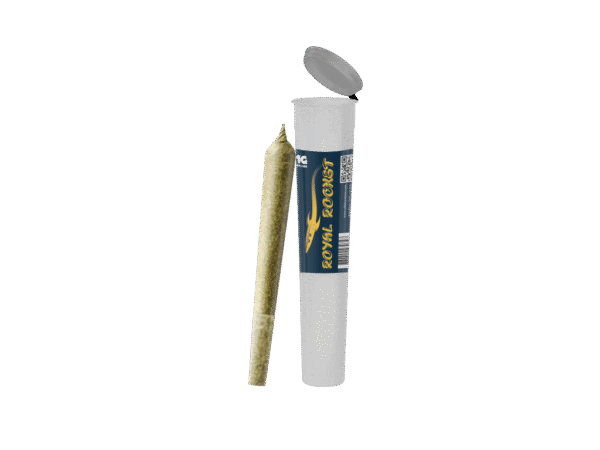 Amnésia Rocket